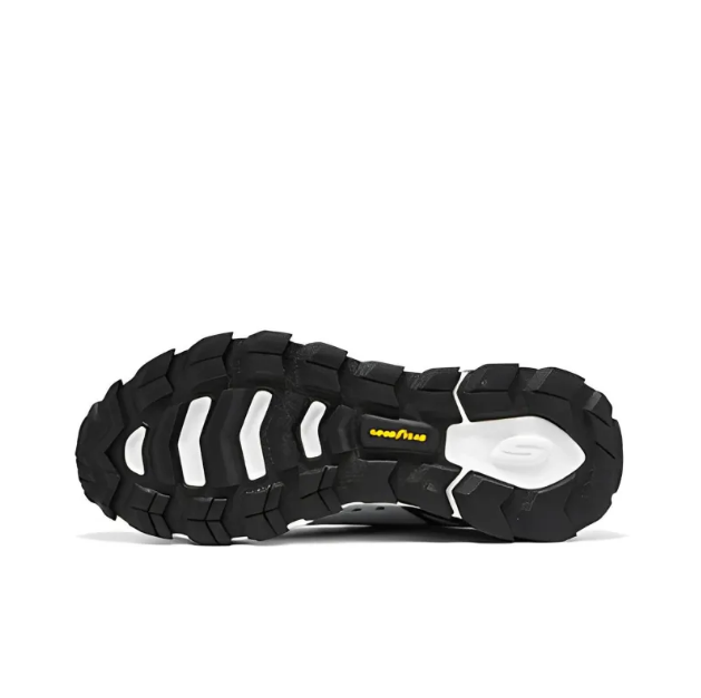 Les Skechers Max Protect